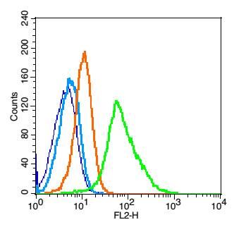 Fig1: Blank control: Raji(blue).; Primary Antibody:Rabbit Anti-Claudin 1 antibody , Dilution: 1μg in 100 μL 1X PBS containing 0.5% BSA;; Isotype Control Antibody: Rabbit IgG(orange) ,used under the same conditions );; Secondary Antibody: Goat anti-rabbit IgG-PE(white blue), Dilution: 1:200 in 1 X PBS containing 0.5% BSA.; Protocol; The cells were fixed with 2% paraformaldehyde (10 min). Antibody ( 1μg /1x10^6 cells) were incubated for 30 min on the ice, followed by 1 X PBS containing 0.5% BSA + 1 0% goat serum (15 min) to block non-specific protein-protein interactions. Then the Goat Anti-rabbit IgG/PE antibody was added into the blocking buffer mentioned above to react with the primary antibody of 175334# at 1/200 dilution for 30 min on ice. Acquisition of 20,000 events was performed.
