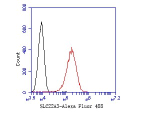 Fig3:; Flow cytometric analysis of SLC22A3 was done on A549 cells. The cells were fixed, permeabilized and stained with the primary antibody ( 1/50) (red). After incubation of the primary antibody at room temperature for an hour, the cells were stained with a Alexa Fluor 488-conjugated Goat anti-Rabbit IgG Secondary antibody at 1/1000 dilution for 30 minutes.Unlabelled sample was used as a control (cells without incubation with primary antibody; black).