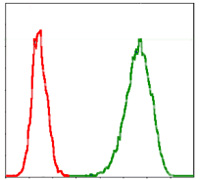 Flow cytometric analysis of Jurkat cells using MCM2 mouse mAb (green) and negative control (red).