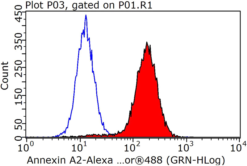 1X10^6 HeLa cells were stained with 0.2ug Annexin A2 antibody (Catalog No:107055, red) and control antibody (blue). Fixed with 90% MeOH blocked with 3% BSA (30 min). Alexa Fluor 488-congugated AffiniPure Goat Anti-Mouse IgG(H+L) with dilution 1:1000.