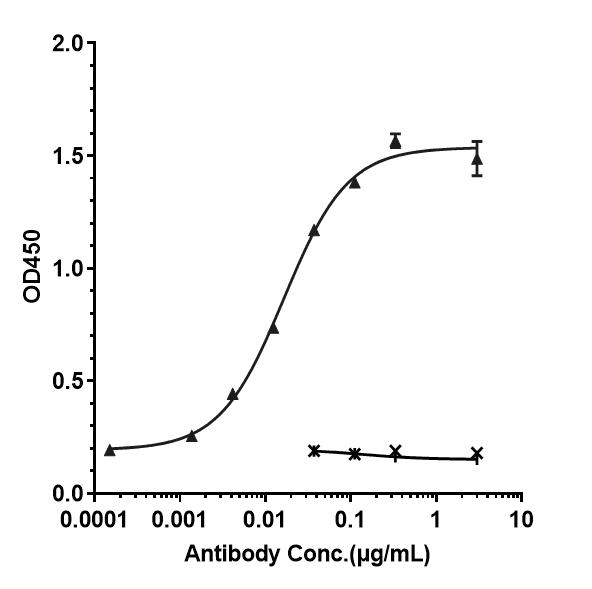 Bioactivity: ELISA