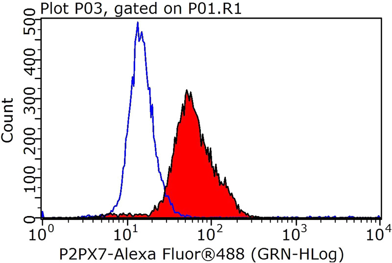 1X10^6 HeLa cells were stained with 0.2ug P2RX7 antibody (Catalog No:113544, red) and control antibody (blue). Fixed with 90% MeOH blocked with 3% BSA (30 min). Alexa Fluor 488-congugated AffiniPure Goat Anti-Rabbit IgG(H+L) with dilution 1:1000.