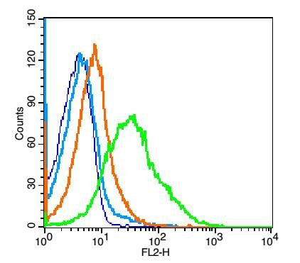 Fig1: Blank control: mouse spleen cells (blue).; Primary Antibody: Rabbit Anti- CD33 antibody , Dilution: 1μg in 100 μL 1X PBS containing 0.5% BSA;; Isotype Control Antibody: Rabbit IgG(orange) ,used under the same conditions );; Secondary Antibody: Goat anti-rabbit IgG-PE(white blue), Dilution: 1:200 in 1 X PBS containing 0.5% BSA.; Protocol; The cells were fixed with 2% paraformaldehyde (10 min). Primary antibody ( 1μg /1x10^6 cells) were incubated for 30 min on the ice, followed by 1 X PBS containing 0.5% BSA + 1 0% goat serum (15 min) to block non-specific protein-protein interactions. Then the Goat Anti-rabbit IgG/PE antibody was added into the blocking buffer mentioned above to react with the primary antibody at 1/200 dilution for 30 min on ice. Acquisition of 20,000 events was performed.