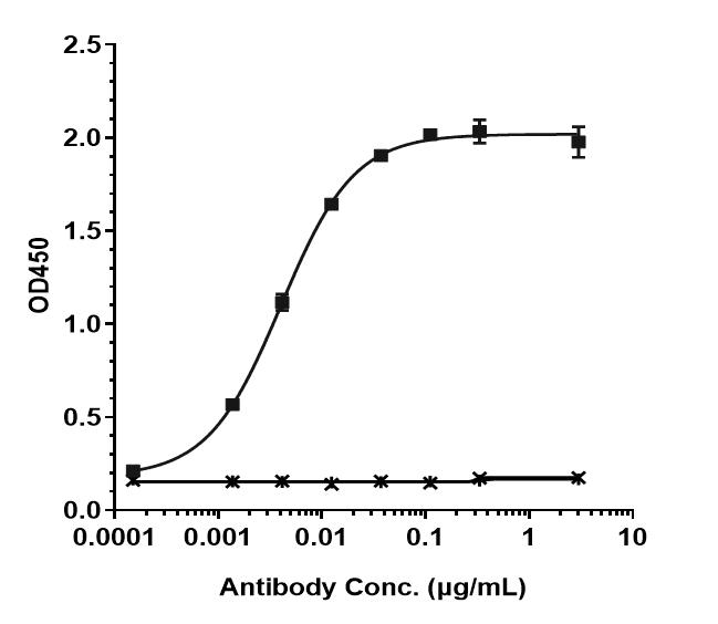 Bioactivity: ELISA