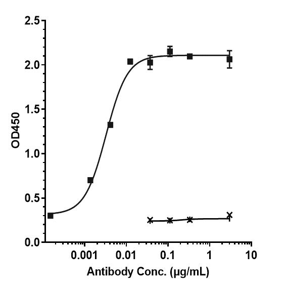 Bioactivity: ELISA