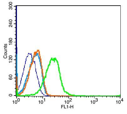 Fig4: Blank control: Mouse kidney (blue).; Primary Antibody:Rabbit Anti-Coxsackie Adenovirus Receptor antibody ( Green); Dilution: 1μg in 100 μL 1X PBS containing 0.5% BSA;; Isotype Control Antibody: Rabbit IgG(orange) ,used under the same conditions;; Secondary Antibody: Goat anti-rabbit IgG-FITC(white blue), Dilution: 1:200 in 1 X PBS containing 0.5% BSA.; Protocol; The cells were fixed with 2% paraformaldehyde for 10 min at 37℃. Primary antibody ( 1μg /1x10^6 cells) were incubated for 30 min at room temperature, followed by 1 X PBS containing 0.5% BSA + 10% goat serum (1 hour) to block non-specific protein-protein interactions. Then the Goat Anti-rabbit IgG/FITC antibody was added into the blocking buffer mentioned above to react with the primary antibody at 1/200 dilution for 40 min at room temperature. Acquisition of 20,000 events was performed.