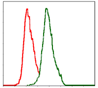 Flow cytometric analysis of MCF-7 cells using TRA-2-54 mouse mAb (green) and negative control (red).