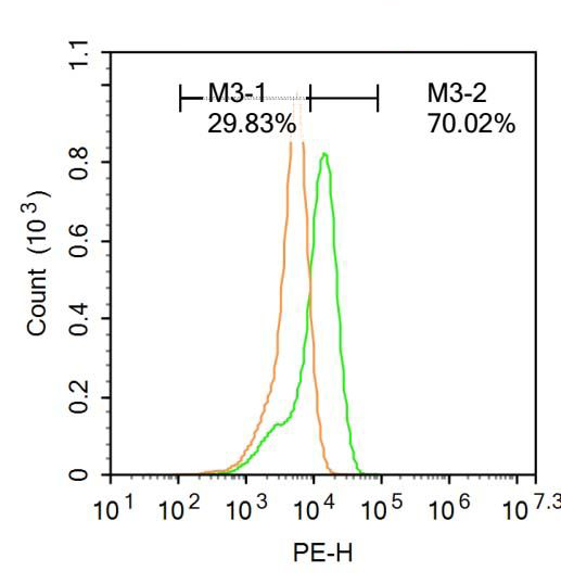 Fig2: U-937 cells were fixed with 4% PFA for 10min at room temperature,permeabilized with 90% ice-cold methanol for 20 min at room temperature, and incubated in 5% BSA blocking buffer for 30 min at room temperature. Cells were then stained with BRN3A Antibody at 1:500 dilution in blocking buffer and incubated for 30 min at room temperature, washed twice with 2%BSA in PBS, followed by secondary antibody incubation for 40 min at room temperature. Acquisitions of 20,000 events were performed. Cells stained with primary antibody (green), and isotype control (orange).