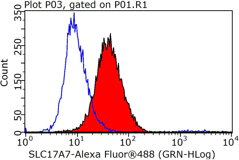 1X10^6 SH-SY5Y cells were stained with 0.2ug SLC17A7 antibody (Catalog No:116746, red) and control antibody (blue). Fixed with 90% MeOH blocked with 3% BSA (30 min). Alexa Fluor 488-congugated AffiniPure Goat Anti-Rabbit IgG(H+L) with dilution 1:1000.