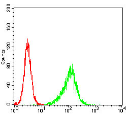 Flow cytometric analysis of Hela cells using PLCG2 mouse mAb (green) and negative control (red).