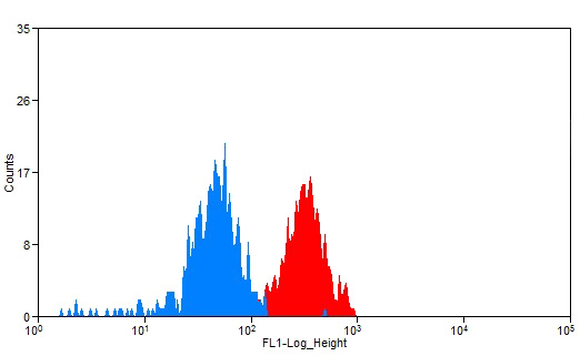 1X10^6 K-562 cells were stained with 0.2ug CD97 antibody (Catalog No:109150, red) and control antibody (blue). Fixed with 90% MeOH blocked with 3% BSA (30 min). Alexa Fluor 488-congugated AffiniPure Goat Anti-Rabbit IgG(H+L) with dilution 1:1500.