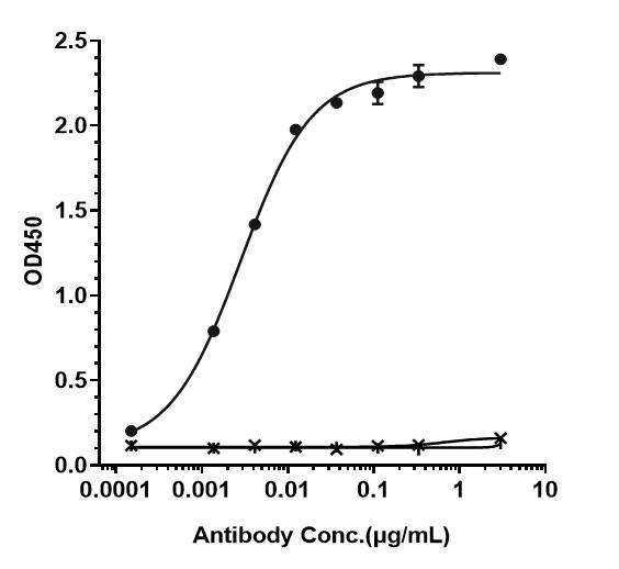 Bioactivity: ELISA
