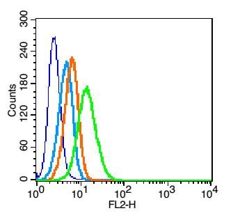 Fig5: Blank control: U937(blue).; Primary Antibody: Rabbit Anti-CD86 antibody , Dilution: 1μg in 100 μL 1X PBS containing 0.5% BSA;; Isotype Control Antibody: Rabbit IgG (orange) ,used under the same conditions.; Secondary Antibody: Goat anti-rabbit IgG-PE(white blue), Dilution: 1:200 in 1 X PBS containing 0.5% BSA.; Protocol; The cells were fixed with 2% paraformaldehyde (10 min).Primary antibody ( 1μg /1x10^6 cells) were incubated for 30 min on the ice, followed by 1 X PBS containing 0.5% BSA + 10% goat serum (15 min) to block non-specific protein-protein interactions. Then the Goat Anti-rabbit IgG/PE antibody was added into the blocking buffer mentioned above to react with the primary antibody at 1/200 dilution for 30 min on ice. Acquisition of 20,000 events was performed.