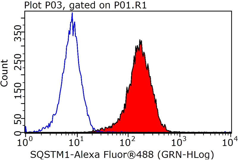 1X10^6 HEK-293T cells were stained with 0.2ug P62; SQSTM1 antibody (Catalog No:113557, red) and control antibody (blue). Fixed with 90% MeOH blocked with 3% BSA (30 min). Alexa Fluor 488-congugated AffiniPure Goat Anti-Rabbit IgG(H+L) with dilution 1:1000.