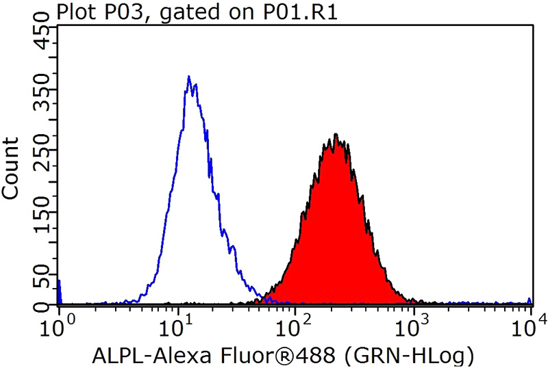 1X10^6 HeLa cells were stained with 0.2ug ALPL antibody (Catalog No:107881, red) and control antibody (blue). Fixed with 90% MeOH blocked with 3% BSA (30 min). Alexa Fluor 488-congugated AffiniPure Goat Anti-Rabbit IgG(H+L) with dilution 1:1000.