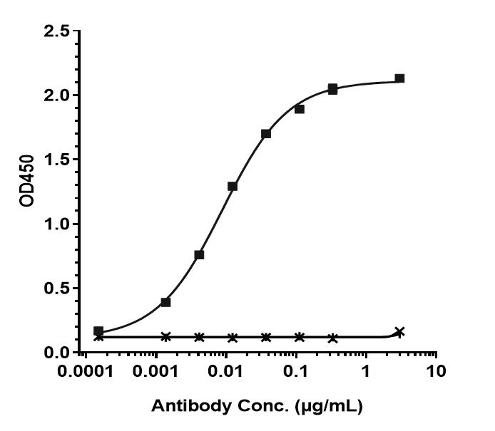 Bioactivity: ELISA