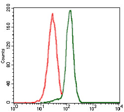 Flow cytometric analysis of HeLa cells using PPM1A mouse mAb (green) and negative control (red).