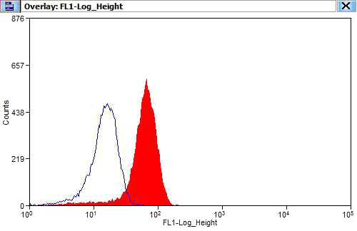 1X10^6 HEK-293 cells were stained with 0.2ug THoc5 antibody (Catalog No:116048, red) and control antibody (blue). Fixed with 4% PFA blocked with 3% BSA (30 min). Alexa Fluor 488-congugated AffiniPure Goat Anti-Rabbit IgG(H+L) with dilution 1:1500.