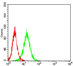 Fig5: Flow cytometric analysis of Hela cells with VTN antibody at 1/100 dilution (green) compared with an unlabelled control (cells without incubation with primary antibody; red).