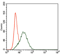 Flow cytometric analysis of HepG2 cells using SHP-2 mouse mAb (green) and negative control (red).