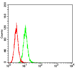 Fig4: Flow cytometric analysis of GRIK3 was done on Hela cells. The cells were fixed, permeabilized and stained with the primary antibody ( 1/100) (green). After incubation of the primary antibody at room temperature for an hour, the cells were stained with a Alexa Fluor 488-conjugated goat anti-Mouse IgG Secondary antibody at 1/500 dilution for 30 minutes. Unlabelled sample was used as a control (cells without incubation with primary antibody; red).