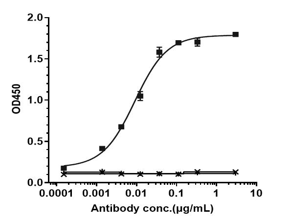 Bioactivity: ELISA