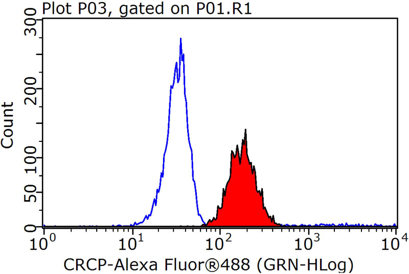 1X10^6 Raji cells were stained with 0.2ug CRCP antibody (Catalog No:109540, red) and control antibody (blue). Fixed with 90% MeOH blocked with 3% BSA (30 min). Alexa Fluor 488-congugated AffiniPure Goat Anti-Rabbit IgG(H+L) with dilution 1:1000.