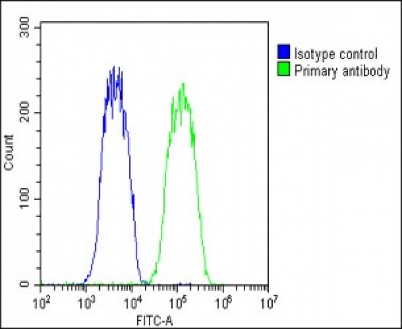 Overlay histogram showing Hela cells stained with 169059(green line). The cells were fixed with 2% paraformaldehyde (10 min) and then permeabilized with 90% methanol for 10 min. The cells were then icubated in 2% bovine serum albumin to block non-specific protein-protein interactions followed by the antibody (169059, 1:25 dilution) for 60 min at 37℃. The secondary antibody used was Goat-Anti-Rabbit IgG, DyLight 488 Conjugated Highly Cross-Adsorbed(1583138) at 1/200 dilution for 40 min at 37℃. Isotype control antibody (blue line) was rabbit IgG1 (1μg/1x10^6 cells) used under the same conditions. Acquisition of >10, 000 events was performed.