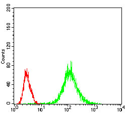 Flow cytometric analysis of Jurkat cells using MAP2K5 mouse mAb (green) and negative control (red).