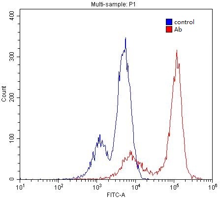 1X10^6 Jurkat cells were stained with 0.2ug LBR antibody (Catalog No:112162, red) and control antibody (blue). Fixed with 4% PFA blocked with 3% BSA (30 min). Alexa Fluor 488-congugated AffiniPure Goat Anti-Rabbit IgG(H+L) with dilution 1:1500.