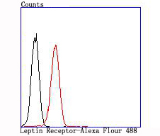 Fig9:; Flow cytometric analysis of Leptin Receptor was done on K562 cells. The cells were fixed, permeabilized and stained with the primary antibody ( 1/50) (red). After incubation of the primary antibody at room temperature for an hour, the cells were stained with a Alexa Fluor 488-conjugated Goat anti-Rabbit IgG Secondary antibody at 1/1000 dilution for 30 minutes.Unlabelled sample was used as a control (cells without incubation with primary antibody; black).