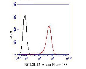 Fig6: Flow cytometric analysis of BCL2L12 was done on A431 cells. The cells were fixed, permeabilized and stained with the primary antibody ( 1/50) (red). After incubation of the primary antibody at room temperature for an hour, the cells were stained with a Alexa Fluor 488-conjugated Goat anti-Rabbit IgG Secondary antibody at 1/1000 dilution for 30 minutes.Unlabelled sample was used as a control (cells without incubation with primary antibody; black).