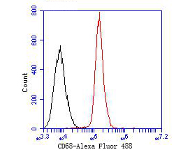 Fig2:; Flow cytometric analysis of CD68 was done on SiHa cells. The cells were fixed, permeabilized and stained with the primary antibody ( 1/50) (red). After incubation of the primary antibody at room temperature for an hour, the cells were stained with a Alexa Fluor 488-conjugated Goat anti-Rabbit IgG Secondary antibody at 1/1000 dilution for 30 minutes.Unlabelled sample was used as a control (cells without incubation with primary antibody; black).