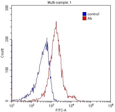 1X10^6 HEK-293 cells were stained with 0.2ug LRP2-Specific antibody (Catalog No:112322, red) and control antibody (blue). Fixed with 4% PFA blocked with 3% BSA (30 min). Alexa Fluor 488-congugated AffiniPure Goat Anti-Rabbit IgG(H+L) with dilution 1:1500.