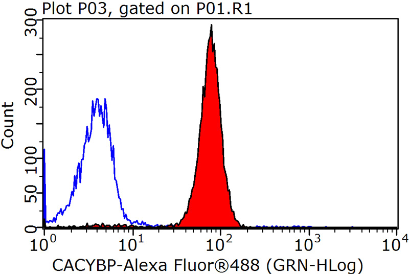 1X10^6 HeLa cells were stained with 0.2ug CACYBP antibody (Catalog No:108770, red) and control antibody (blue). Fixed with 90% MeOH blocked with 3% BSA (30 min). Alexa Fluor 488-congugated AffiniPure Goat Anti-Rabbit IgG(H+L) with dilution 1:1500.