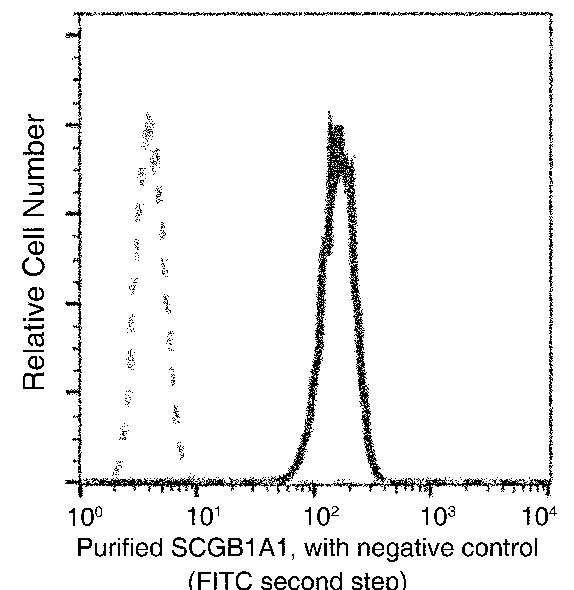Human Uteroglobin/SCGB1A1 Flow Cytometry (FC) 15129