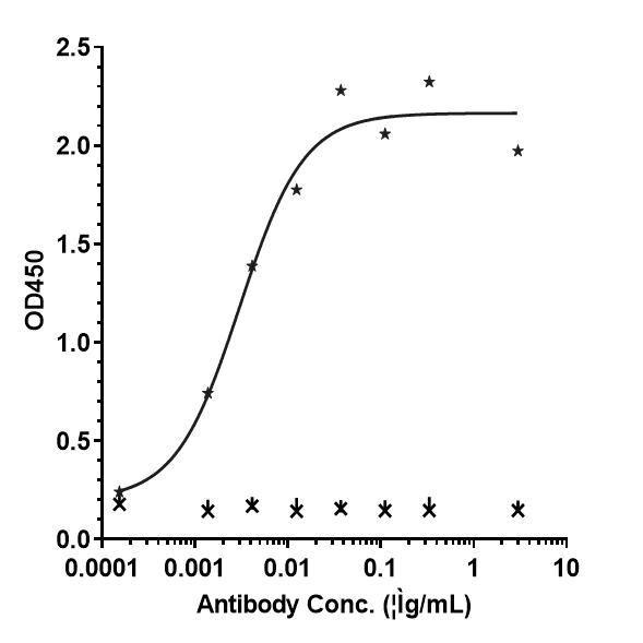 Bioactivity: ELISA