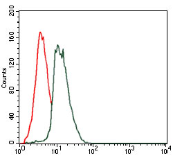 Flow cytometric analysis of Jurkat cells using GAB1 mouse mAb (green) and negative control (red).