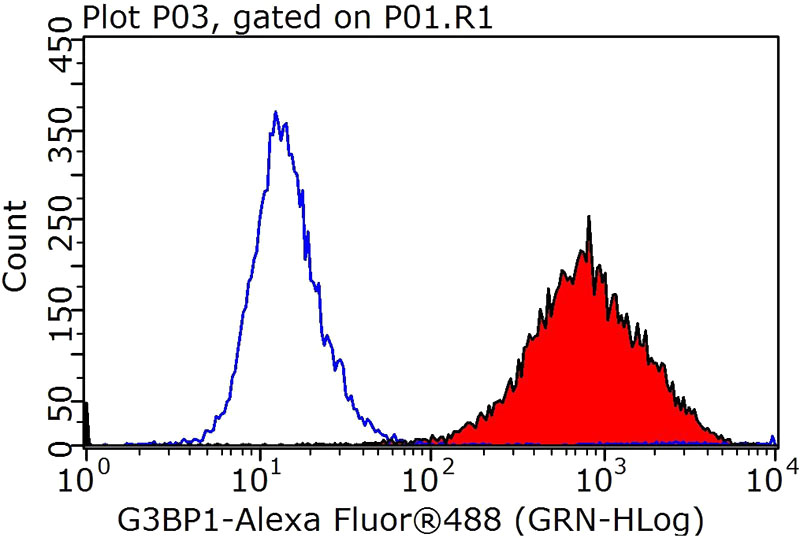 1X10^6 HeLa cells were stained with 0.2ug G3BP1 antibody (Catalog No:110763, red) and control antibody (blue). Fixed with 90% MeOH blocked with 3% BSA (30 min). Alexa Fluor 488-congugated AffiniPure Goat Anti-Rabbit IgG(H+L) with dilution 1:1000.