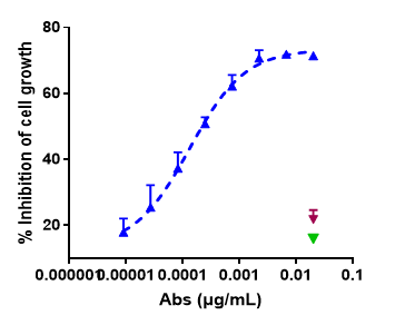 Function: Internalization