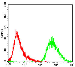 Flow cytometric analysis of A431 cells using PDK2 mouse mAb (green) and negative control (red).