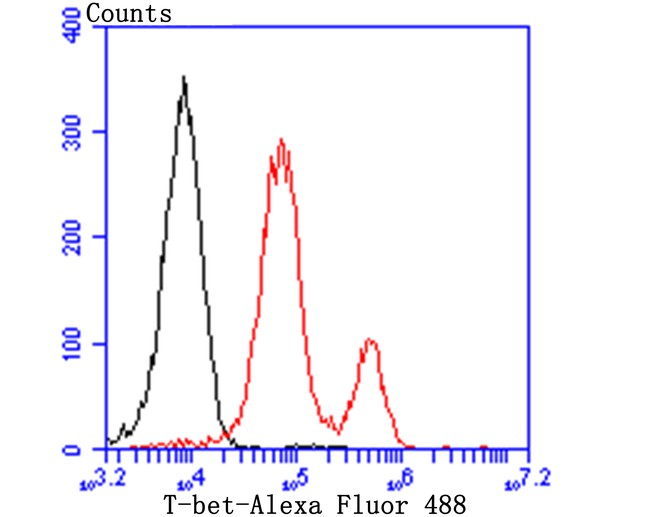 Fig2: Flow cytometric analysis of Jurkat cells with T-bet antibody at 1/100 dilution (red) compared with an unlabelled control (cells without incubation with primary antibody; black). Alexa Fluor 488-conjugated goat anti-rabbit IgG was used as the secondary antibody.