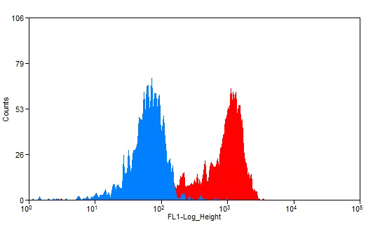 1X10^6 K-562 cells were stained with 0.2ug Annexin A2 antibody (Catalog No:107056, red) and control antibody (blue). Fixed with 90% MeOH blocked with 3% BSA (30 min). Alexa Fluor 488-congugated AffiniPure Goat Anti-Mouse IgG(H+L) with dilution 1:1500.