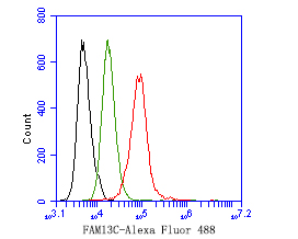 Fig4:; Flow cytometric analysis of FAM13C was done on SH-SY5Y cells. The cells were fixed, permeabilized and stained with the primary antibody ( 1ug/ml) (red) compared with Rabbit IgG, monoclonal - Isotype Control (green). After incubation of the primary antibody at +4℃ for 1 hour, the cells were stained with a Alexa Fluor®488 conjugate-Goat anti-Rabbit IgG Secondary antibody at 1/1,000 dilution for 30 minutes at +4℃ (dark incubation).Unlabelled sample was used as a control (cells without incubation with primary antibody; black).