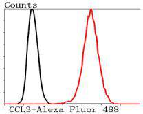 Fig7: Flow cytometric analysis of Hela cells with CCL3 antibody at 1/50 dilution (red) compared with an unlabelled control (cells without incubation with primary antibody; black). Alexa Fluor 488-conjugated Goat anti rabbit IgG was used as the secondary a
