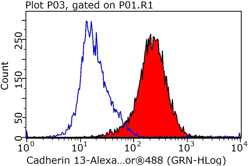 1X10^6 Jurkat cells were stained with 0.5ug CDH13 antibody (Catalog No:108772, red) and control antibody (blue). Fixed with 90% MeOH blocked with 3% BSA (30 min). Alexa Fluor 488-congugated AffiniPure Goat Anti-Rabbit IgG(H+L) with dilution 1:1000.