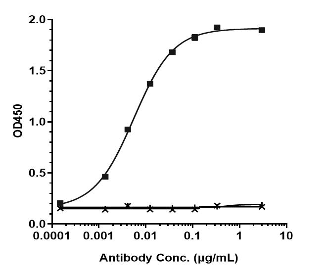 Bioactivity: ELISA