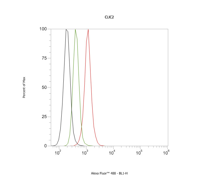 Fig6:; Flow cytometric analysis of CLIC2 was done on SH-SY5Y cells. The cells were fixed, permeabilized and stained with the primary antibody ( 1ug/ml) (red) compared with Mouse IgG, monoclonal - Isotype Control ( green). After incubation of the primary antibody at room temperature for an hour, the cells were stained with a Alexa Fluor®488 conjugate-Goat anti-Mouse IgG Secondary antibody at 1/1000 dilution for 30 minutes.Unlabelled sample was used as a control (cells without incubation with primary antibody; black).