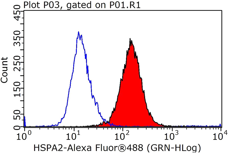 1X10^6 HeLa cells were stained with 0.2ug HSPA2 antibody (Catalog No:111574, red) and control antibody (blue). Fixed with 90% MeOH blocked with 3% BSA (30 min). Alexa Fluor 488-congugated AffiniPure Goat Anti-Rabbit IgG(H+L) with dilution 1:1000.