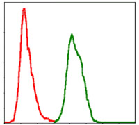 Flow cytometric analysis of Hela cells using SKP1 mouse mAb (green) and negative control (red).